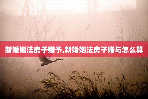 新婚姻法房子赠予,新婚姻法房子赠与怎么算