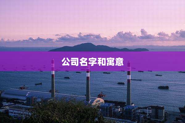 公司名字和寓意