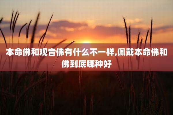 本命佛和观音佛有什么不一样,佩戴本命佛和佛到底哪种好