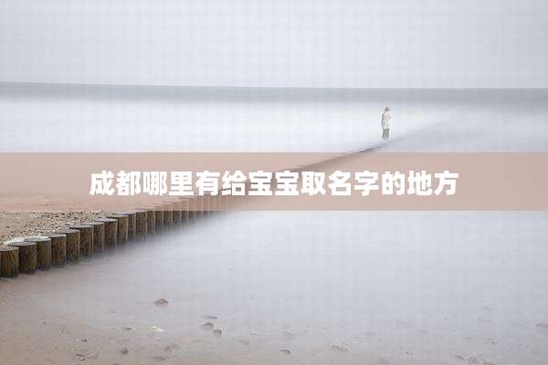 成都哪里有给宝宝取名字的地方