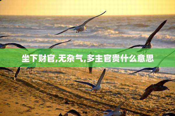 坐下财官,无杂气,多主官贵什么意思
