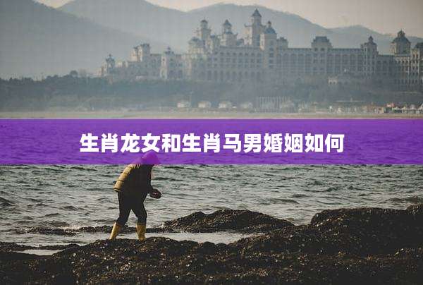 生肖龙女和生肖马男婚姻如何