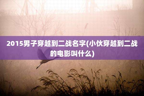 2015男子穿越到二战名字(小伙穿越到二战的电影叫什么)