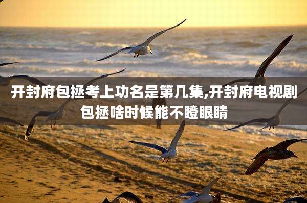 开封府包拯考上功名是第几集,开封府电视剧包拯啥时候能不瞪眼睛