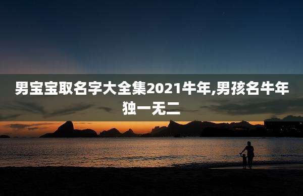 男宝宝取名字大全集2021牛年,男孩名牛年独一无二