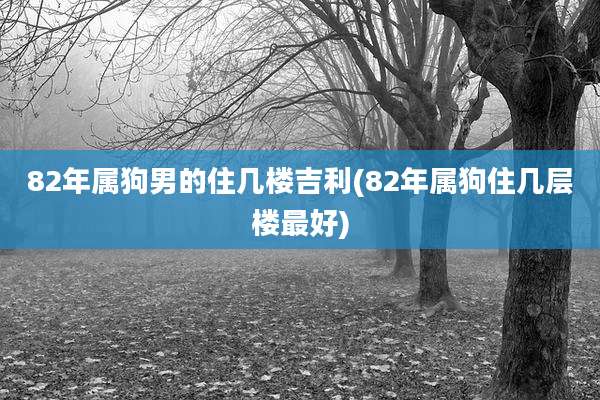 82年属狗男的住几楼吉利(82年属狗住几层楼最好)
