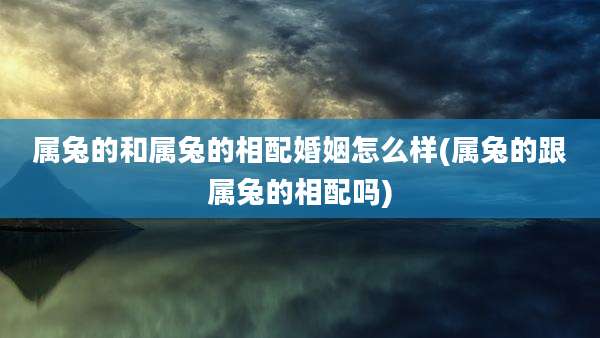 属兔的和属兔的相配婚姻怎么样(属兔的跟属兔的相配吗)