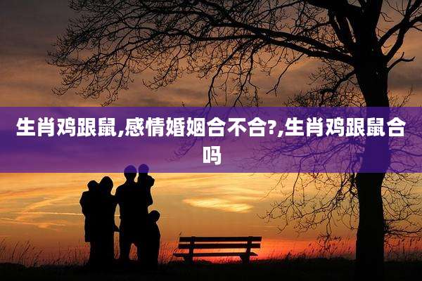 生肖鸡跟鼠,感情婚姻合不合?,生肖鸡跟鼠合吗