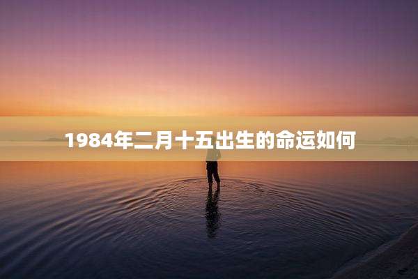 1984年二月十五出生的命运如何