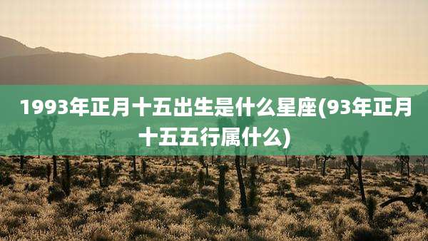 1993年正月十五出生是什么星座(93年正月十五五行属什么)