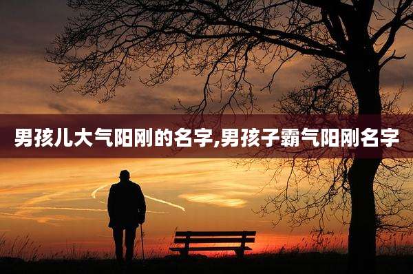 男孩儿大气阳刚的名字,男孩子霸气阳刚名字