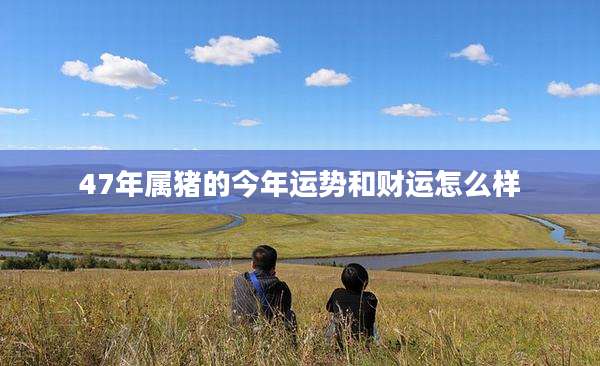 47年属猪的今年运势和财运怎么样