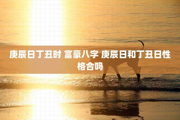 庚辰日丁丑时 富豪八字 庚辰日和丁丑日性格合吗