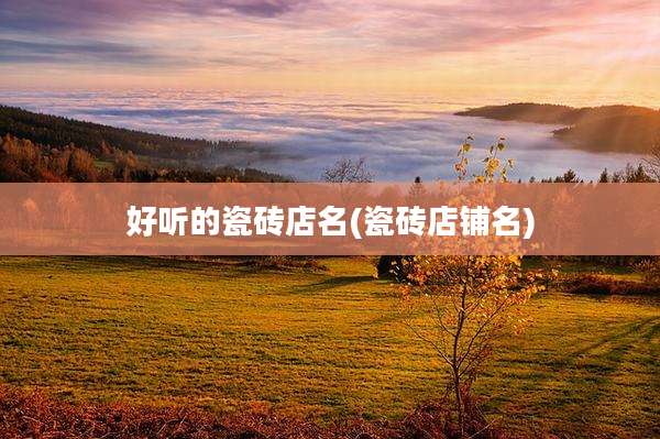 好听的瓷砖店名(瓷砖店铺名)