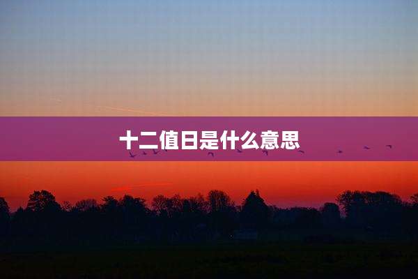 十二值日是什么意思