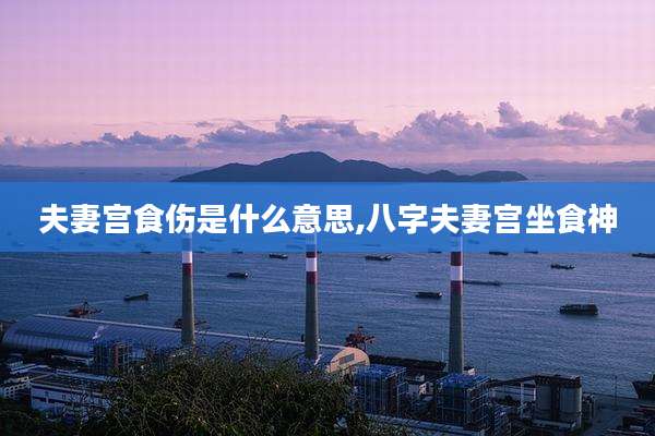 夫妻宫食伤是什么意思,八字夫妻宫坐食神