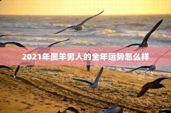 2021年属羊男人的全年运势怎么样