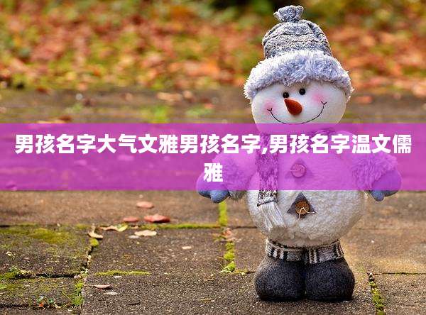 男孩名字大气文雅男孩名字,男孩名字温文儒雅
