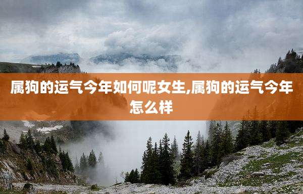 属狗的运气今年如何呢女生,属狗的运气今年怎么样