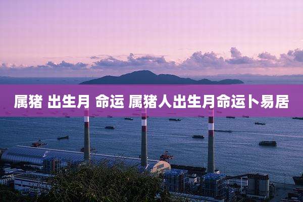属猪 出生月 命运 属猪人出生月命运卜易居