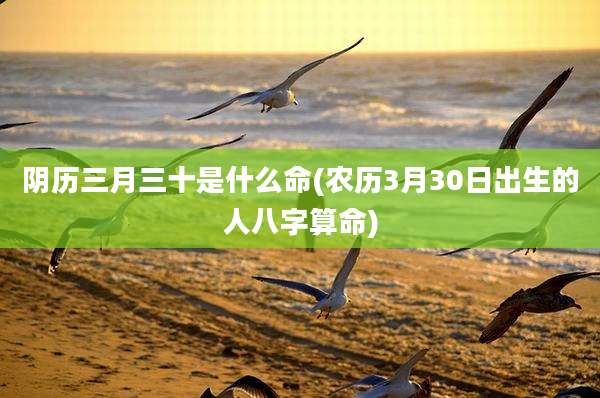 阴历三月三十是什么命(农历3月30日出生的人八字算命)