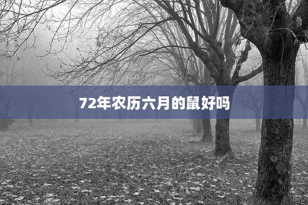 72年农历六月的鼠好吗