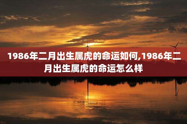 1986年二月出生属虎的命运如何,1986年二月出生属虎的命运怎么样
