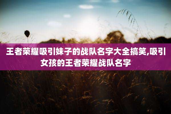 王者荣耀吸引妹子的战队名字大全搞笑,吸引女孩的王者荣耀战队名字