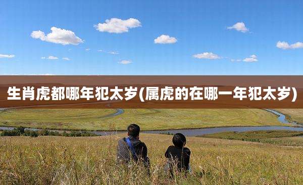 生肖虎都哪年犯太岁(属虎的在哪一年犯太岁)