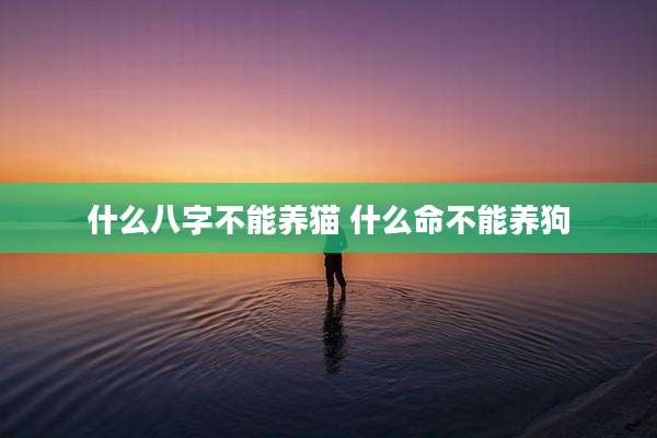 什么八字不能养猫 什么命不能养狗