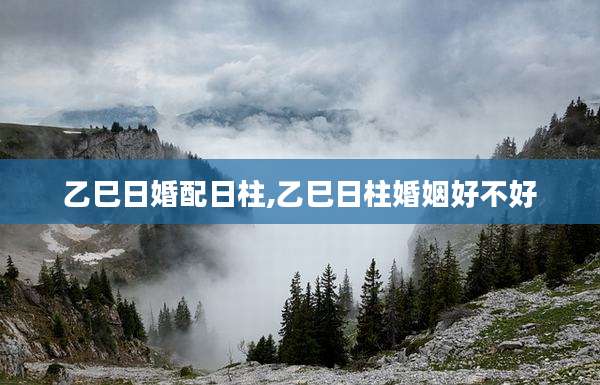 乙巳日婚配日柱,乙巳日柱婚姻好不好