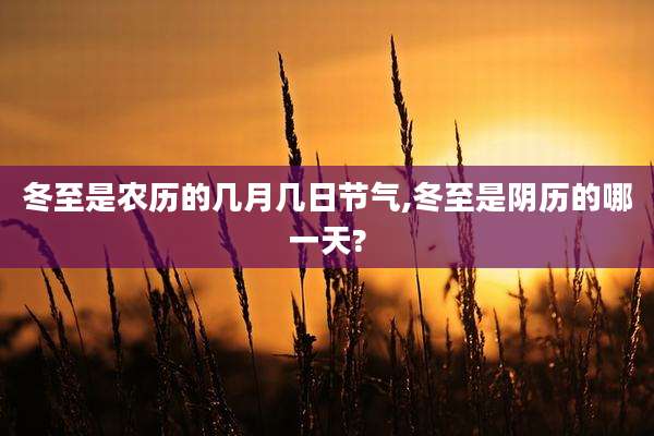 冬至是农历的几月几日节气,冬至是阴历的哪一天?