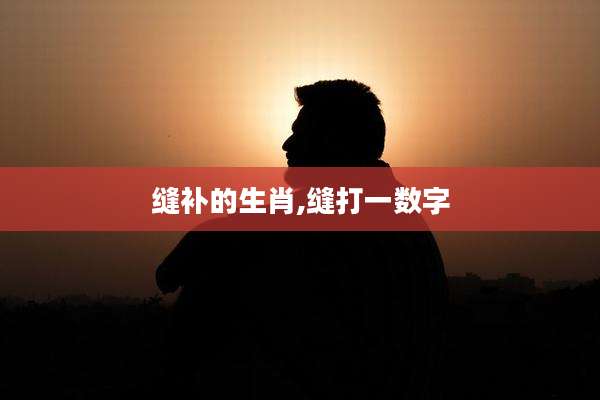 缝补的生肖,缝打一数字