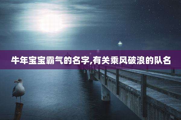 牛年宝宝霸气的名字,有关乘风破浪的队名