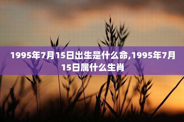 1995年7月15日出生是什么命,1995年7月15日属什么生肖
