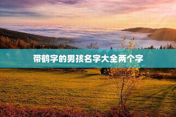 带鹤字的男孩名字大全两个字