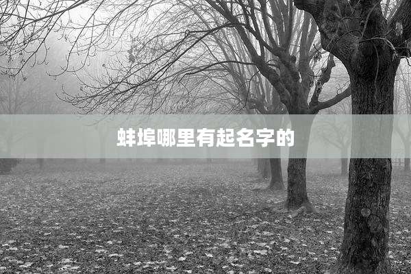 蚌埠哪里有起名字的
