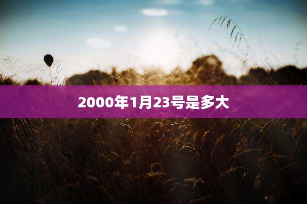 2000年1月23号是多大