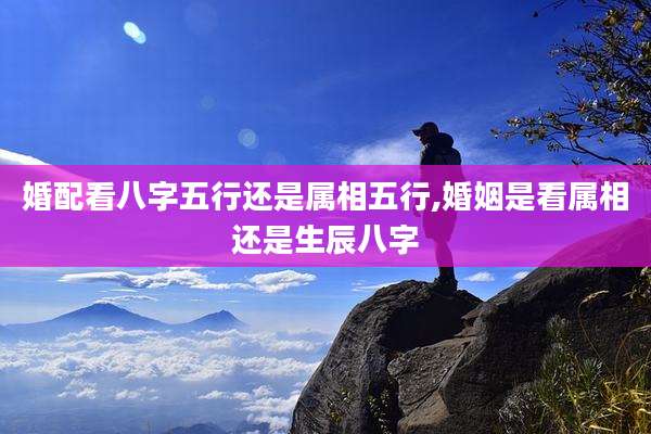 婚配看八字五行还是属相五行,婚姻是看属相还是生辰八字