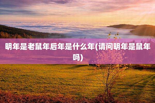 明年是老鼠年后年是什么年(请问明年是鼠年吗)
