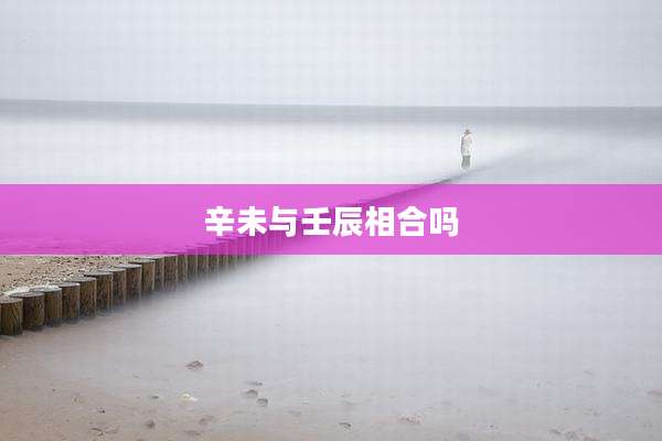 辛未与壬辰相合吗