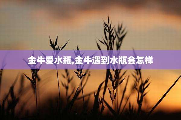 金牛爱水瓶,金牛遇到水瓶会怎样