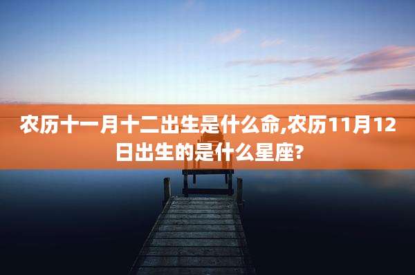 农历十一月十二出生是什么命,农历11月12日出生的是什么星座?