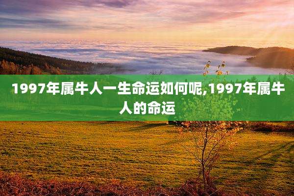 1997年属牛人一生命运如何呢,1997年属牛人的命运