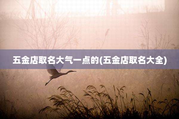 五金店取名大气一点的(五金店取名大全)