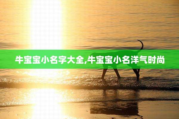牛宝宝小名字大全,牛宝宝小名洋气时尚