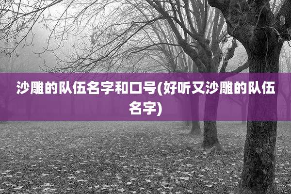沙雕的队伍名字和口号(好听又沙雕的队伍名字)