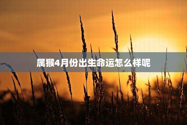 属猴4月份出生命运怎么样呢