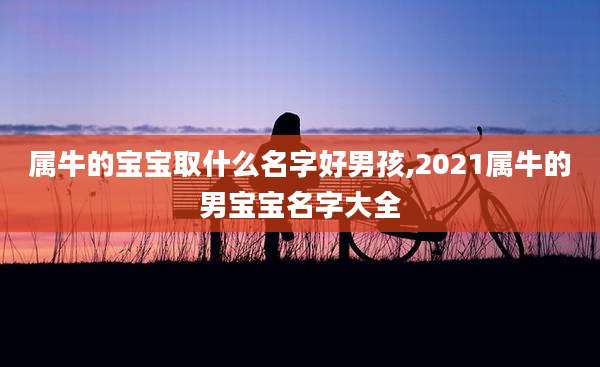 属牛的宝宝取什么名字好男孩,2021属牛的男宝宝名字大全