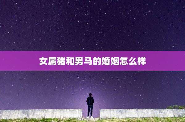 女属猪和男马的婚姻怎么样